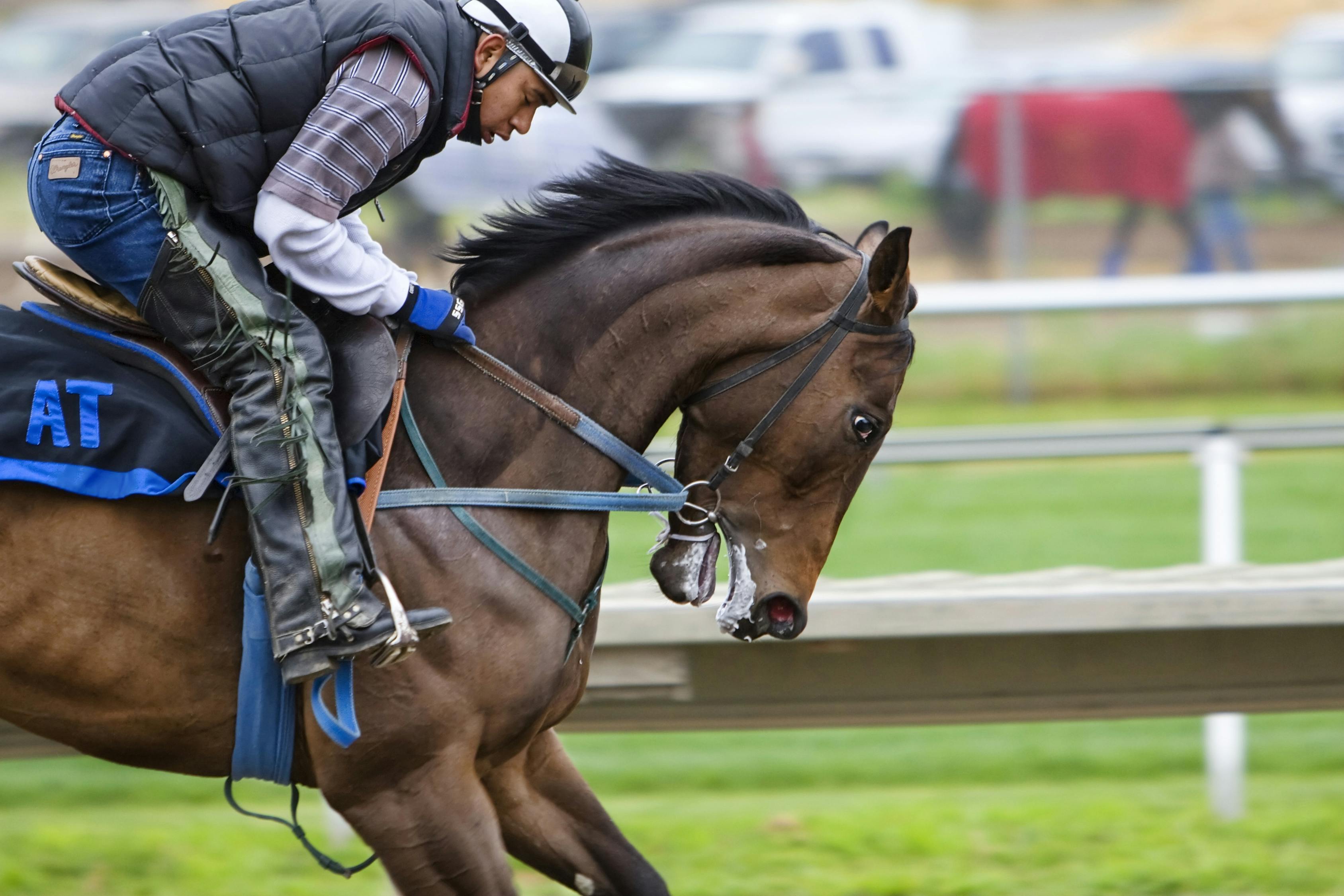 2024澳門特馬今晚開獎56期的,最佳情歌精選_輪海FRS99.18.57